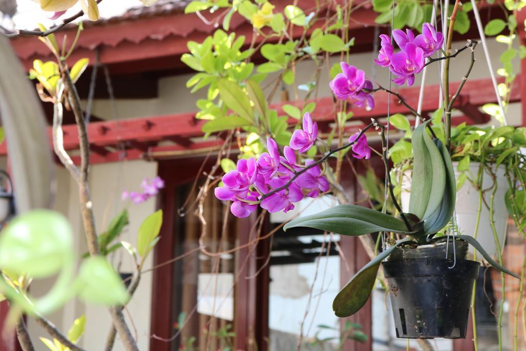 Nhi Trung Hotel Hội An Kültér fotó